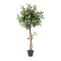 Dare2Decor Camellia Everyday Tree in Pot - 50 in. DA946209